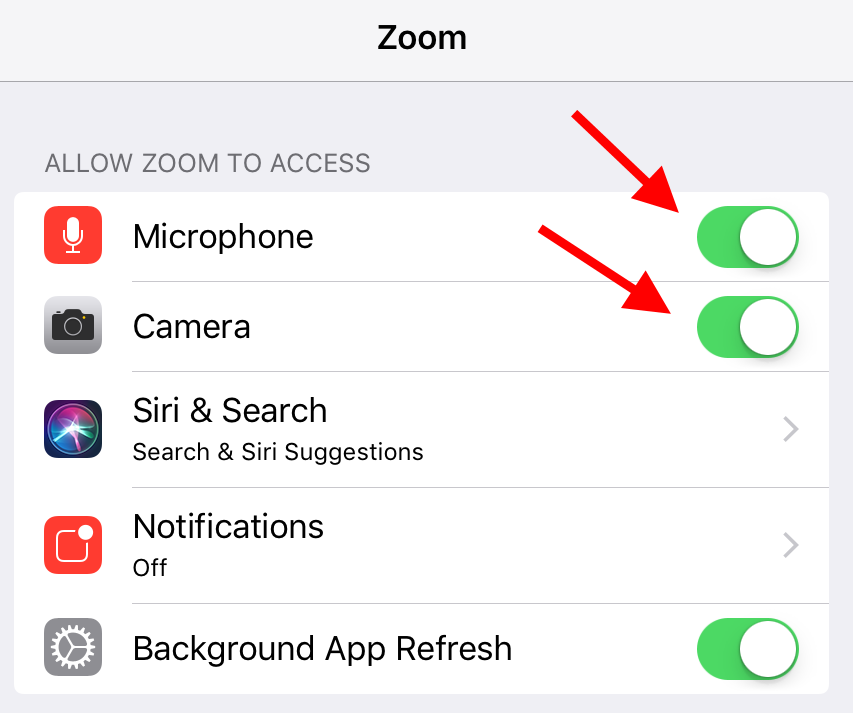 Toggles next to Microphone and Camera
