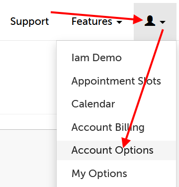 Arrow pointing at profile icon and "Account Options" selection